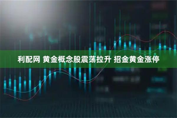 利配网 黄金概念股震荡拉升 招金黄金涨停