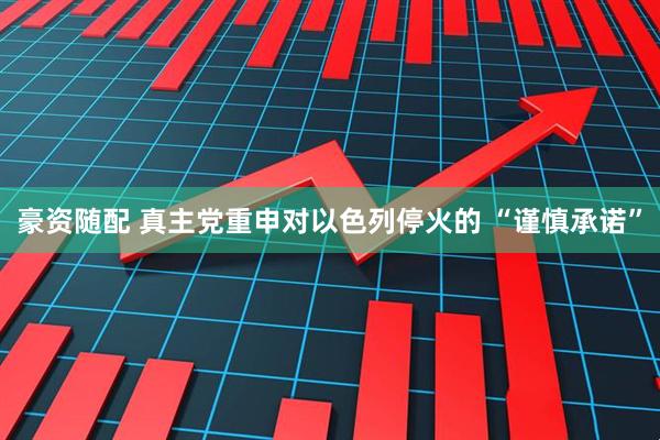 豪资随配 真主党重申对以色列停火的 “谨慎承诺”