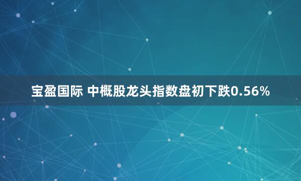 宝盈国际 中概股龙头指数盘初下跌0.56%
